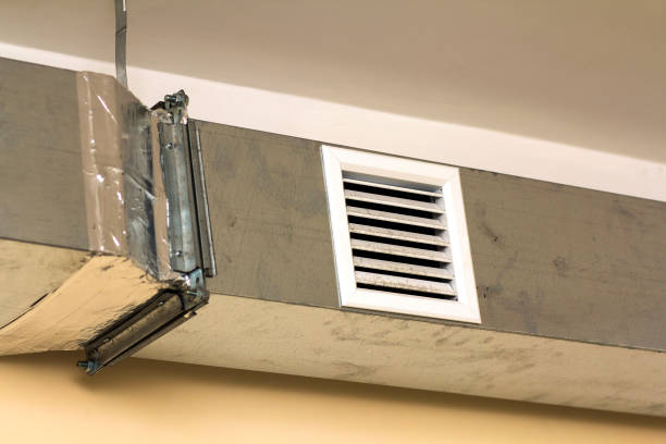 Best Affordable HVAC Duct Cleaning  in Dodson Branch, TN